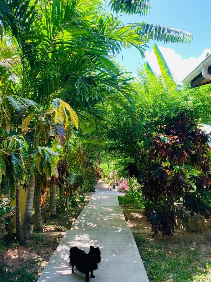 O'Soleil Chalets Self Catering La Digue Exterior photo